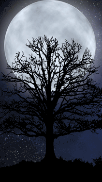Jenna Eatough Author Website Moon Custom Tree Gif